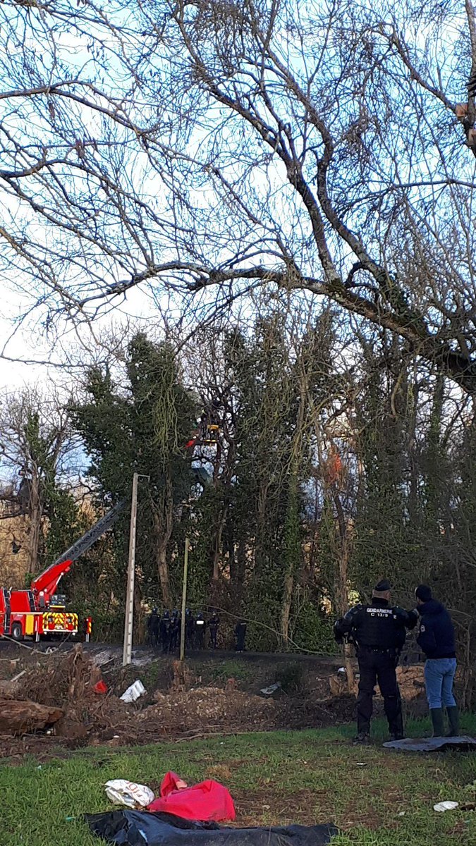 OPPtoulouse's tweet photo. 👮: "Opération judiciaire, vous n'avez plus accès à la zone".

Alors que des gendarmes montent pour déloger les écureuils, il n'est plus possible pour nous d'observer efficacement le déroulement des opérations.

#A69 #ZAD
Cc @LaVoieEstLibre_ https://t.co/3PEPCGJvK0