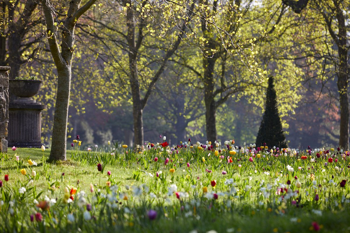 Badminton Estate Spring Open Gardens soglos.com/event/outdoors…  <a href="/soglos/">SoGlos - Gloucestershire's leading media brand</a> #whatsonsouthglos Photo by <a href="/BrittWillDyer/">Britt WilloughbyDyer</a>