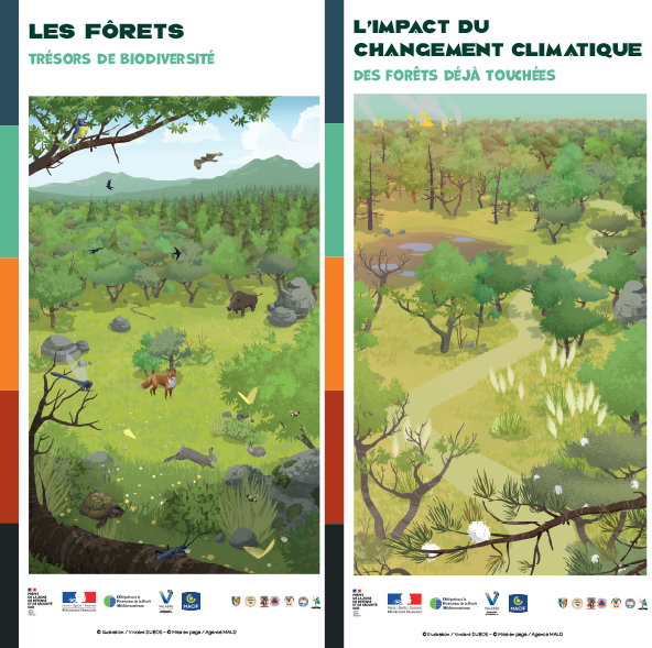 EntenteValabre's tweet image. Retrouvez l&apos;ensemble collector des affiches et fiches ressources de notre nouveau kit pédagogique édité avec le soutien de la Délégation à la protection de la forêt méditerranéenne #DPFM et de la @MacifAssurances 
A télécharger prevention-incendie-foret.com/scolaires/kit-…
