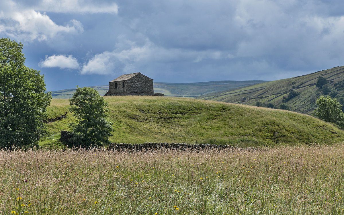 Barn, summer's day in Swaledale, Yorkshire Dales NP