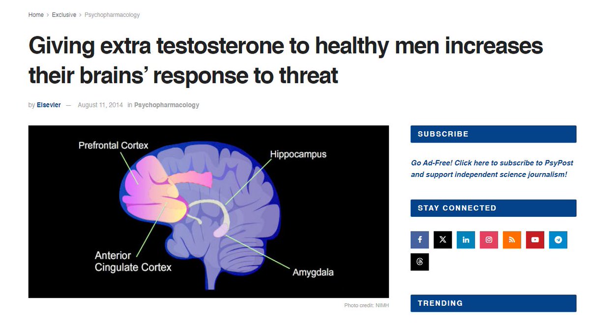 Give men a dose of testosterone and their responsiveness to external threats immediately increases. Hypothetically, if you were a tyrant and you wanted men to acquiesce in their own subjugation, you'd lower their testosterone levels. Hypothetically.