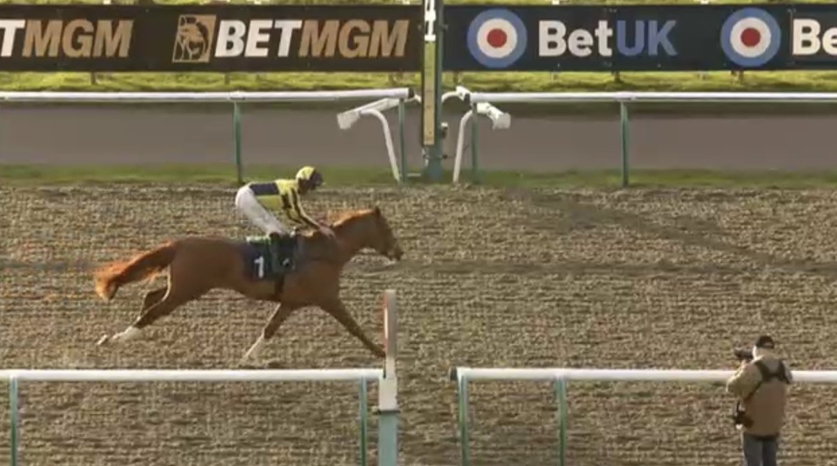 GetYourTipsOut's tweet photo. Home alone ππ»
#CrackingGold #NAPLANDED https://t.co/WohBQhGPmZ