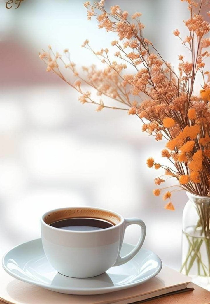 UNUTULMUYOR UNUTMAK MÜMKÜNMÜ SENİ..HER GÜNEŞ BATISINDA İCİLEN KAHVE GİBİSİN..NE HASRETİN BİTİYOR,NEDE İCİMDEKİ ÖZLEM..."SÜVARİ."...