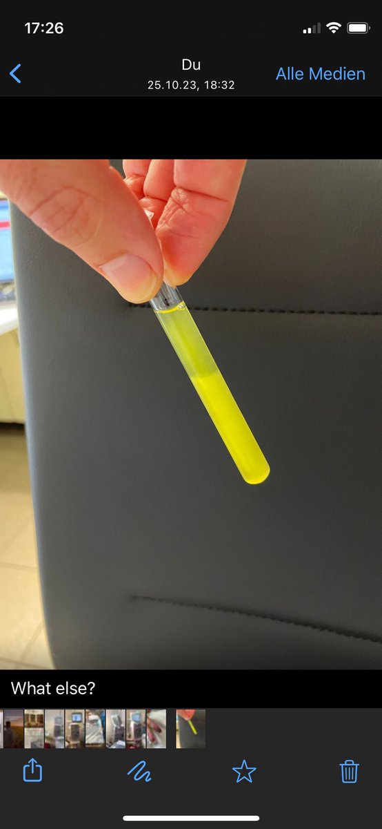 Martin Windpessl tweet media