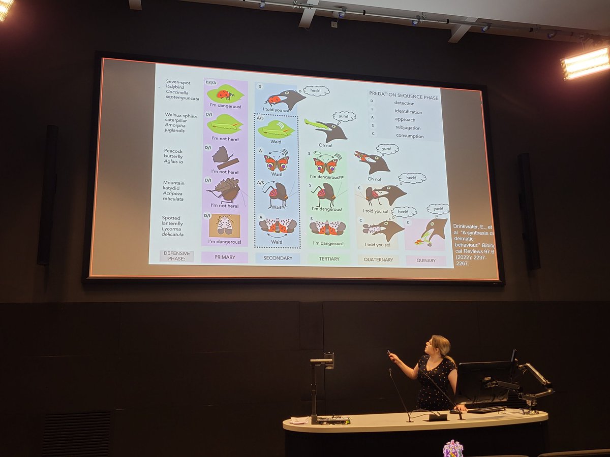 A wonderful lunchtime seminar from Dr Eleanor Drinkwater discussing her work on deimatic (startle) behaviours, including getting multidisciplinary scientists to agree on a definition of the subject and accidently turning magpies into cheese snobs in the process.