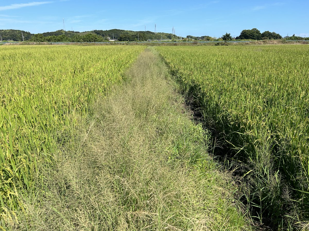 Farmers No Borders tweet media