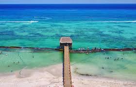 Ingrydmz's tweet photo. ¿No les gustaría amanecer aquí?
A mí también, pero debo trabajar
#Xcalacoco #QuintanaRoo #rivieramaya #sea #Mexico https://t.co/XPHxnUiUEj