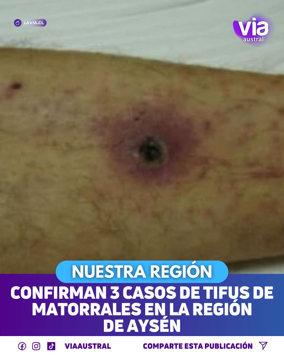 Vía Austral tweet media