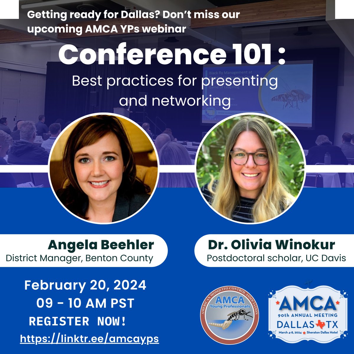 AMCA Young Pros 🦟 tweet media