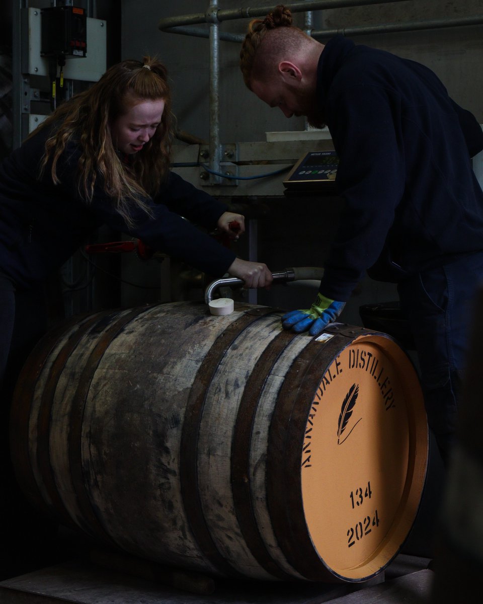 This morning, our production team is working hard to fill up to 40 casks with our award winning spirit, to mature in our warehouse into Single Cask, Single Malt Scotch Whisky.