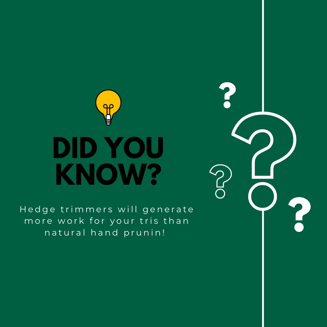 theprolandscapi's tweet image. Hand pruning 

Hand pruning is not only a skill, but also an art. It takes patience, precision, and passion to shape your plants into their best versions. But why should you choose hand pruning over hedge trimmers?
#handpruning #landscape #plants #yourbusinessname