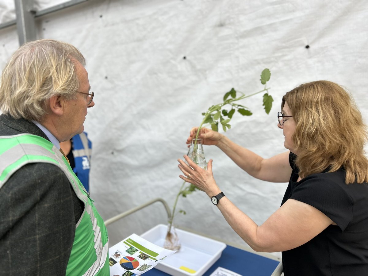 Indrukwekkend bezoek aan een bijzonder bedrijf dat toonaangevend is in de wereld op het gebied van zaadveredeling van gewassen. <a href="/RijkZwaanNL/">Rijk Zwaan NL</a> in de Lier. Een bedrijf met een sterke cultuur waar mens en toegevoegde waarde in de voedselketen centraal staan. <a href="/zuid_holland/">Provincie Zuid-Holland</a>