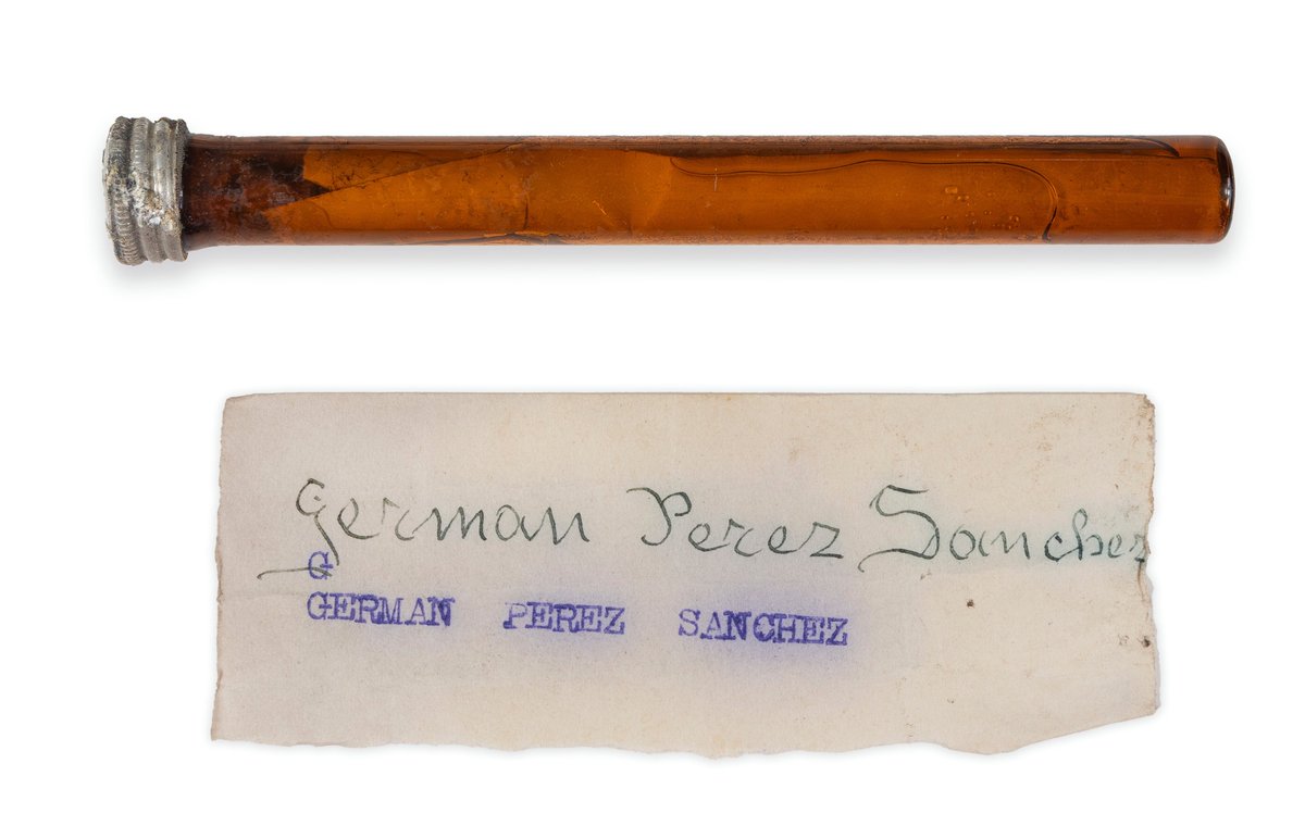 RevistaMasTuria's tweet image. Un papel hallado en una botellita de cristal en la Fosa 146 de #Paterna sirve para identificar los restos de una víctima #FosasComunes #MemoriaHistórica 

masturia.com/2024/02/un-pap…