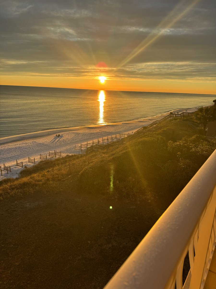 Hedy Groth (@hedygroth) on Twitter photo 