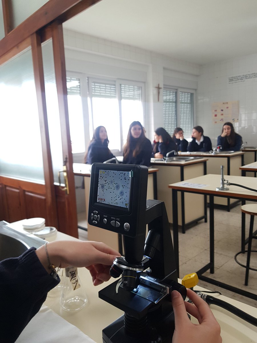 Con motivo del #DiadelaNiñayMujerenlaciencia tuve la suerte de acercar a estudiantes de ESO y Bach. la importancia de las cianobacterias en la evolución de la Tierra y motivarles en su trayectoria académica. Algunas 📸 de las sesiones prácticas ❤️ #WomanInScience #MontealtoJerez