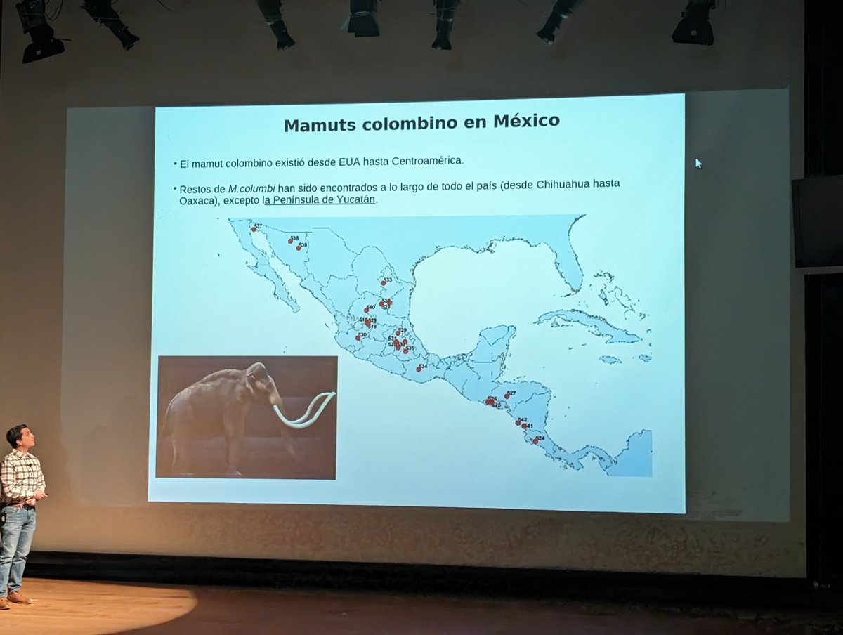 cgonzagaj's tweet photo. The distribution of the Colombian Mammoth in the Americas included the US, Mexico and down to Central America. The major findings of mammoths in Mexico have been found in the Mexico City valley 🦣🦣🦣 @FSanchezQuinto keynote presentation #LIIGH24 @LIIGH_UNAM https://t.co/HtwUXeHPsx