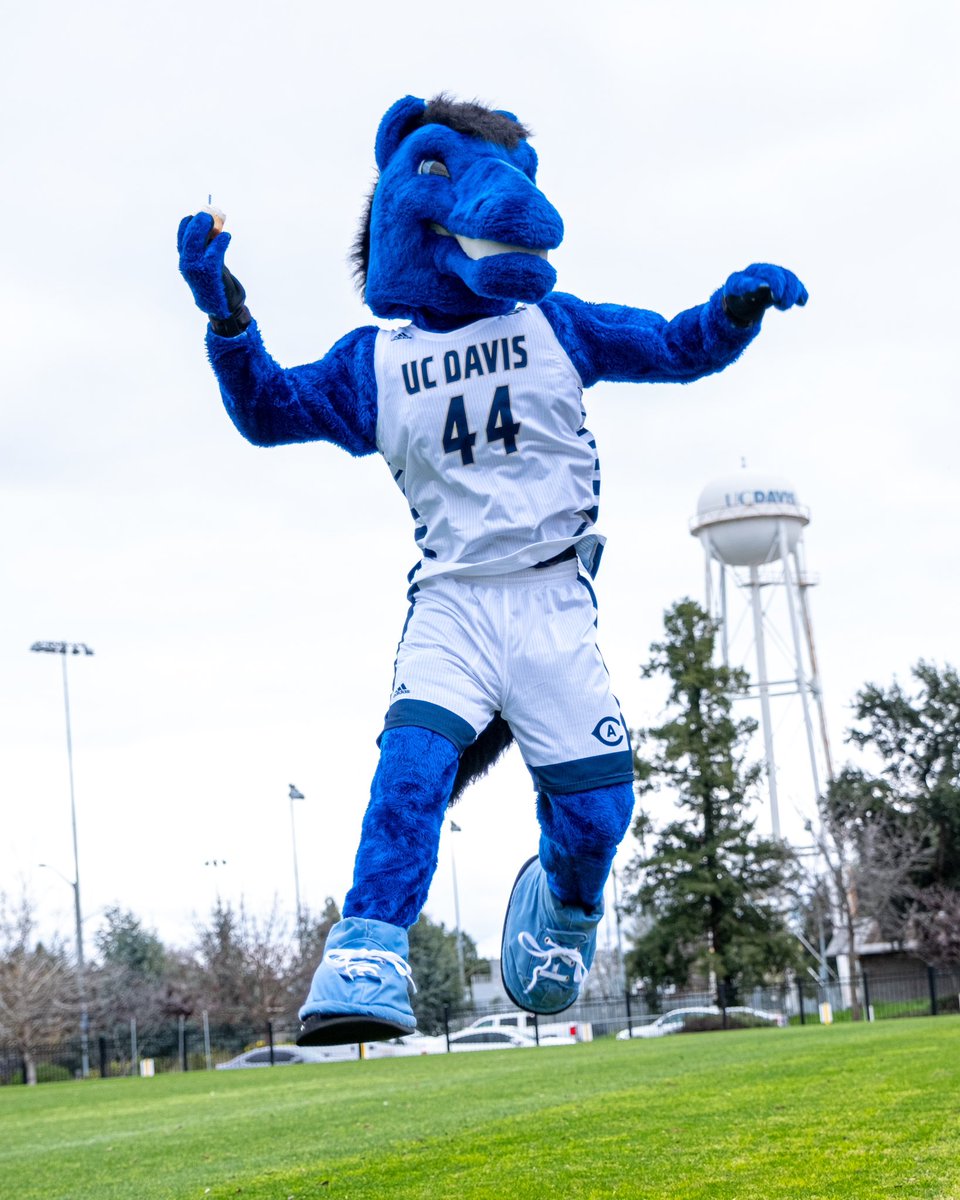 ucdavisaggies's tweet photo. 🎉Jumping into Gunrock’s Birthday like…

Make sure you celebrate by showing your Aggie Pride and have a dessert in Gunrock’s honor 🧁

#GoAgs #Gunrock https://t.co/MU7Z8kaZkX