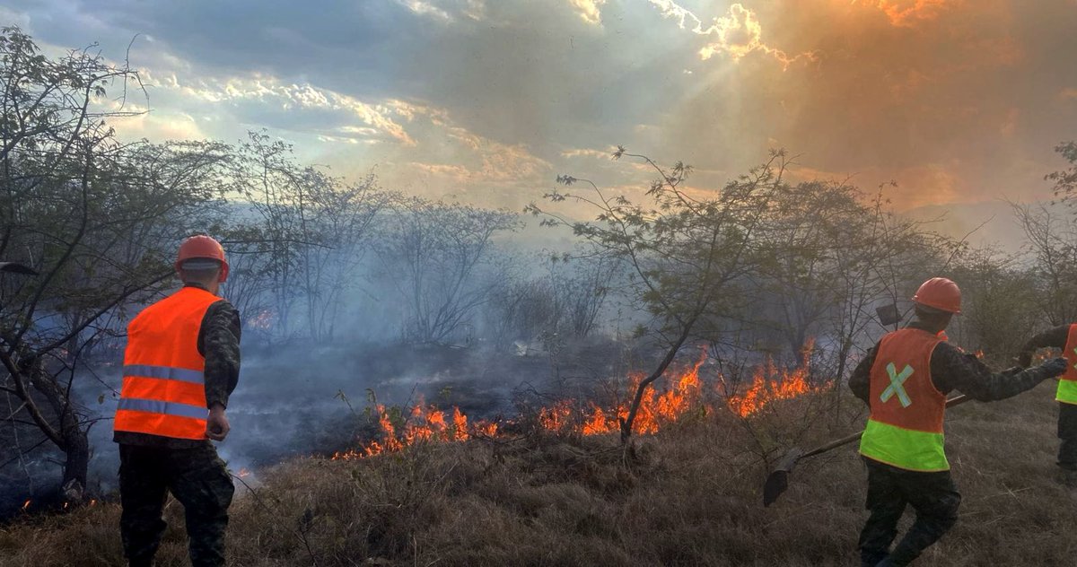 #MNTV | Acciones efectivas de #SoldadosDeMorazán de @FFAAHN, coordinados por el @comando_bosque, permitieron sofocar incendios forestales, principalmente en el departamento de #FranciscoMorazán.