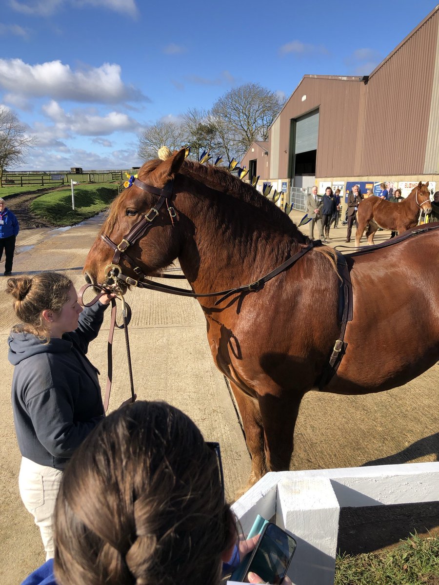 Mark Pendlington DL (@markpnewanglia) on Twitter photo #suffolkhighsheriff Celebrating a unique Suffolk treasure & rare breed <a href="/SuffolkHorseS/">SuffolkHorse Society</a> <a href="/suffolkpunch/">Suffolk Punch Trust</a> Thank you to team & all volunteers for a happy & memorable day. Looking forward to welcoming the Princess Royal next time <a href="/Lord_Lt_Suffolk/">The Lord-Lieutenant of Suffolk</a> #suffolkhighsheriff Celebrating a unique Suffolk treasure & rare breed <a href="/SuffolkHorseS/">SuffolkHorse Society</a> <a href="/suffolkpunch/">Suffolk Punch Trust</a> Thank you to team & all volunteers for a happy & memorable day. Looking forward to welcoming the Princess Royal next time <a href="/Lord_Lt_Suffolk/">The Lord-Lieutenant of Suffolk</a>