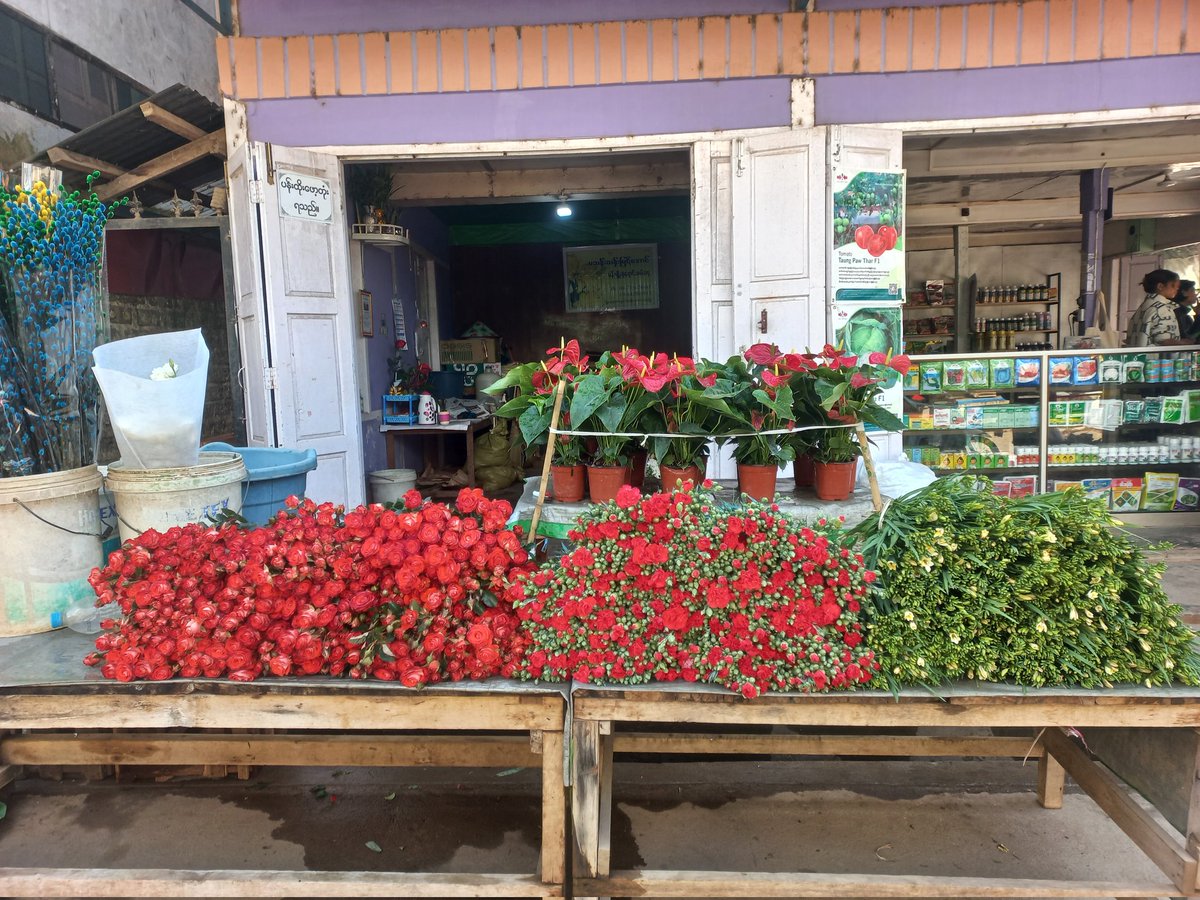 htwenge's tweet photo. Back in Aungban, southern shan state. This colorful local market usually filled with foreign tourists at this time of year. Now not a single one in sight. Another aspect what has cruel military junta done to #Myanmar. https://t.co/KRyU9lAbaG