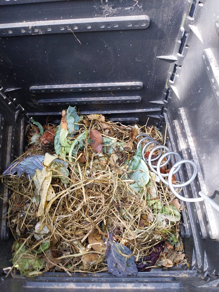 CVI_V3's tweet image. Nuestra educadora ambiental Nieves 🌱 ha estado hoy con profesoras del CEIP Cervantes de Riba-roja de Túria, que gestionan el #huerto y la #compostera con alumnado de infantil. Han medido la temperatura 🌡️🍂 🌿 ¡Gracias por estar tan comprometidas!  
@manccampdeturia