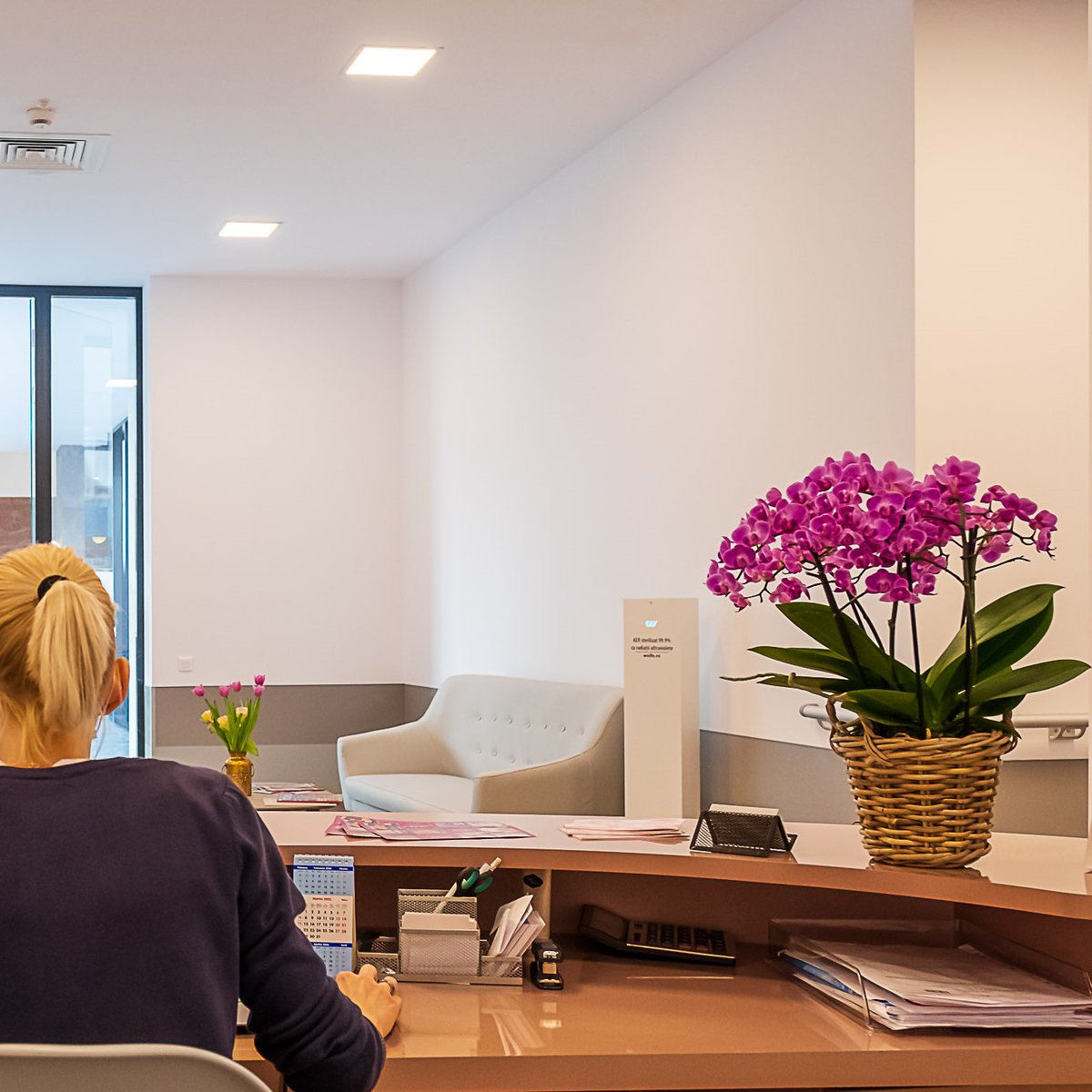 💐Flowers. 🏢Beautiful and welcoming workspaces in office buildings. 💫Furthermore, the most important component: 𝐚𝐢𝐫 that is clean and sanitized thanks to #WOLFeRobotics UV-C technology devices 👉wolfe.ro 

#CleanAir #UVCTechnology #WorkspaceSafety #UVCLight