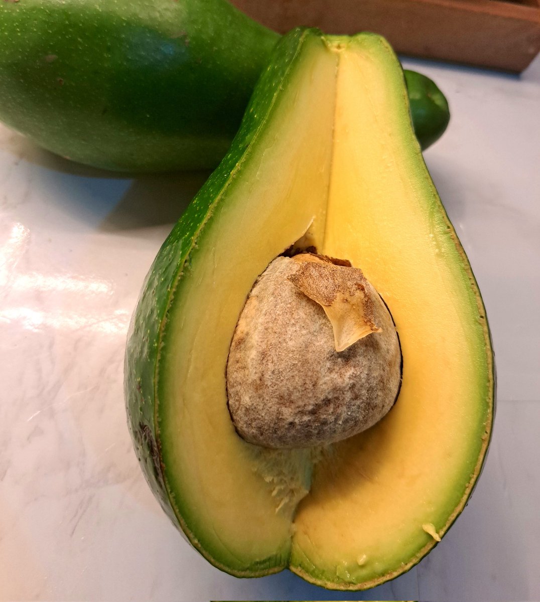 Perfección en una foto 💯😍
Que le harías?♥️😻