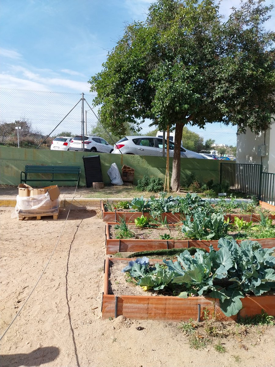 CVI_V3's tweet image. Nuestra educadora ambiental Nieves 🌱 ha estado hoy con profesoras del CEIP Cervantes de Riba-roja de Túria, que gestionan el #huerto y la #compostera con alumnado de infantil. Han medido la temperatura 🌡️🍂 🌿 ¡Gracias por estar tan comprometidas!  
@manccampdeturia