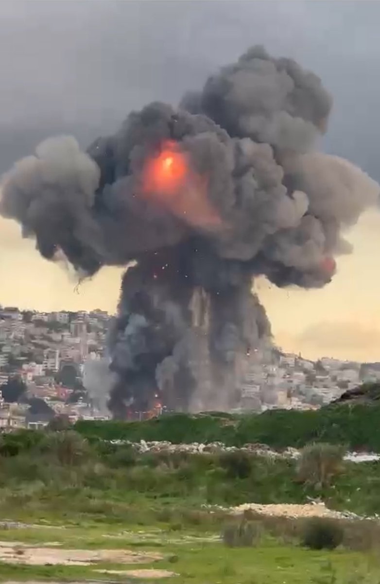 This mushroom rings a bell 🙄
It just stirred up very strong feelings of the #BeirutBlast 😞