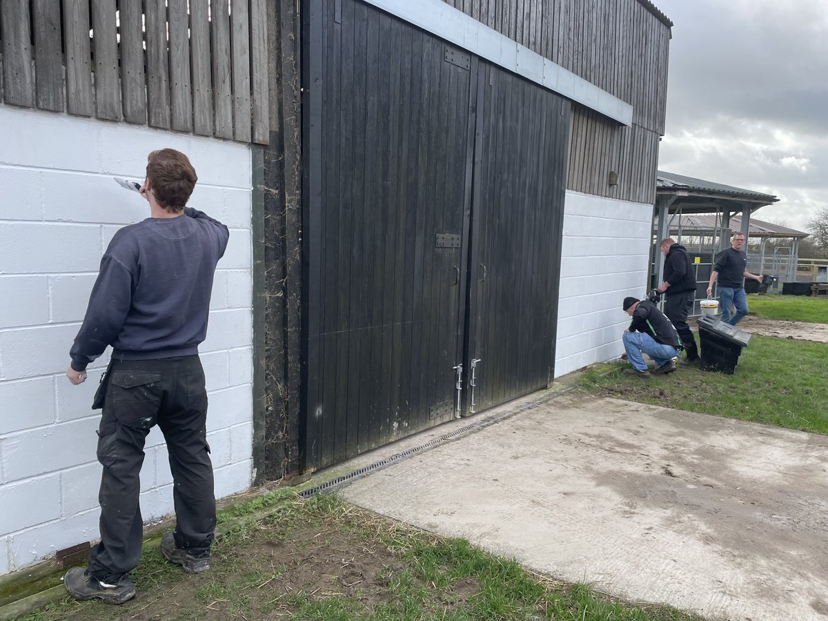 A great day today with @NewBHorses as always ❤️ For of our 12 months of giving with New Beginnings Horses this month we took part in some horse awareness training followed by an afternoon of painting!