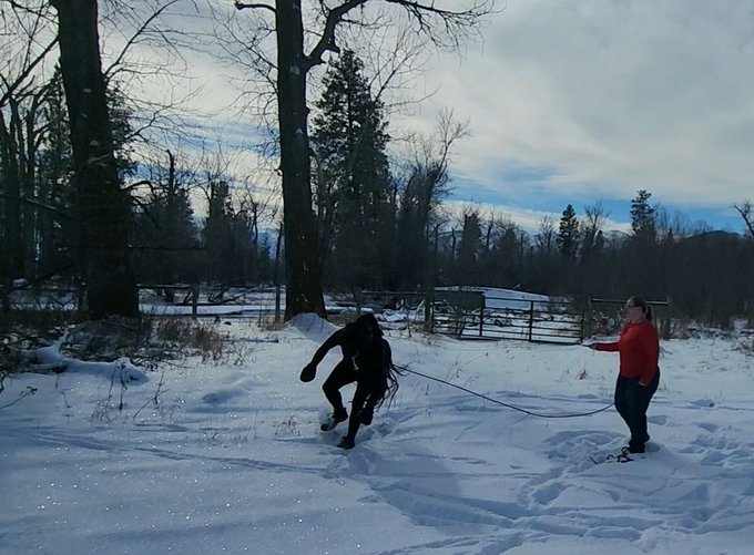 Fun in the snow this weekend. It's been a few months since we've been able to get out and do anything<a href="/tag/leather"class="tags"><span>#leather</span></a><a href="/tag/training"class="tags"><span>#training</span></a><a href="/tag/bdsm"class="tags"><span>#bdsm</span></a><a href="/tag/mask"class="tags"><span>#mask</span></a><a href="/tag/porn"class="tags"><span>#porn</span></a><a href="/tag/horse"class="tags"><span>#horse</span></a><a href="/tag/bondage"class="tags"><span>#bondage</span></a>