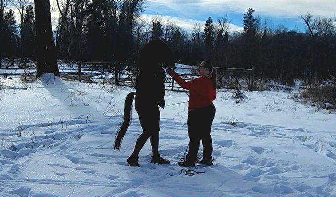 Fun in the snow this weekend. It's been a few months since we've been able to get out and do anything<a href="/tag/leather"class="tags"><span>#leather</span></a><a href="/tag/training"class="tags"><span>#training</span></a><a href="/tag/bdsm"class="tags"><span>#bdsm</span></a><a href="/tag/mask"class="tags"><span>#mask</span></a><a href="/tag/porn"class="tags"><span>#porn</span></a><a href="/tag/horse"class="tags"><span>#horse</span></a><a href="/tag/bondage"class="tags"><span>#bondage</span></a>