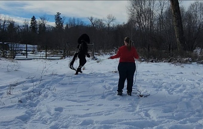 Fun in the snow this weekend. It's been a few months since we've been able to get out and do anything<a href="/tag/leather"class="tags"><span>#leather</span></a><a href="/tag/training"class="tags"><span>#training</span></a><a href="/tag/bdsm"class="tags"><span>#bdsm</span></a><a href="/tag/mask"class="tags"><span>#mask</span></a><a href="/tag/porn"class="tags"><span>#porn</span></a><a href="/tag/horse"class="tags"><span>#horse</span></a><a href="/tag/bondage"class="tags"><span>#bondage</span></a>