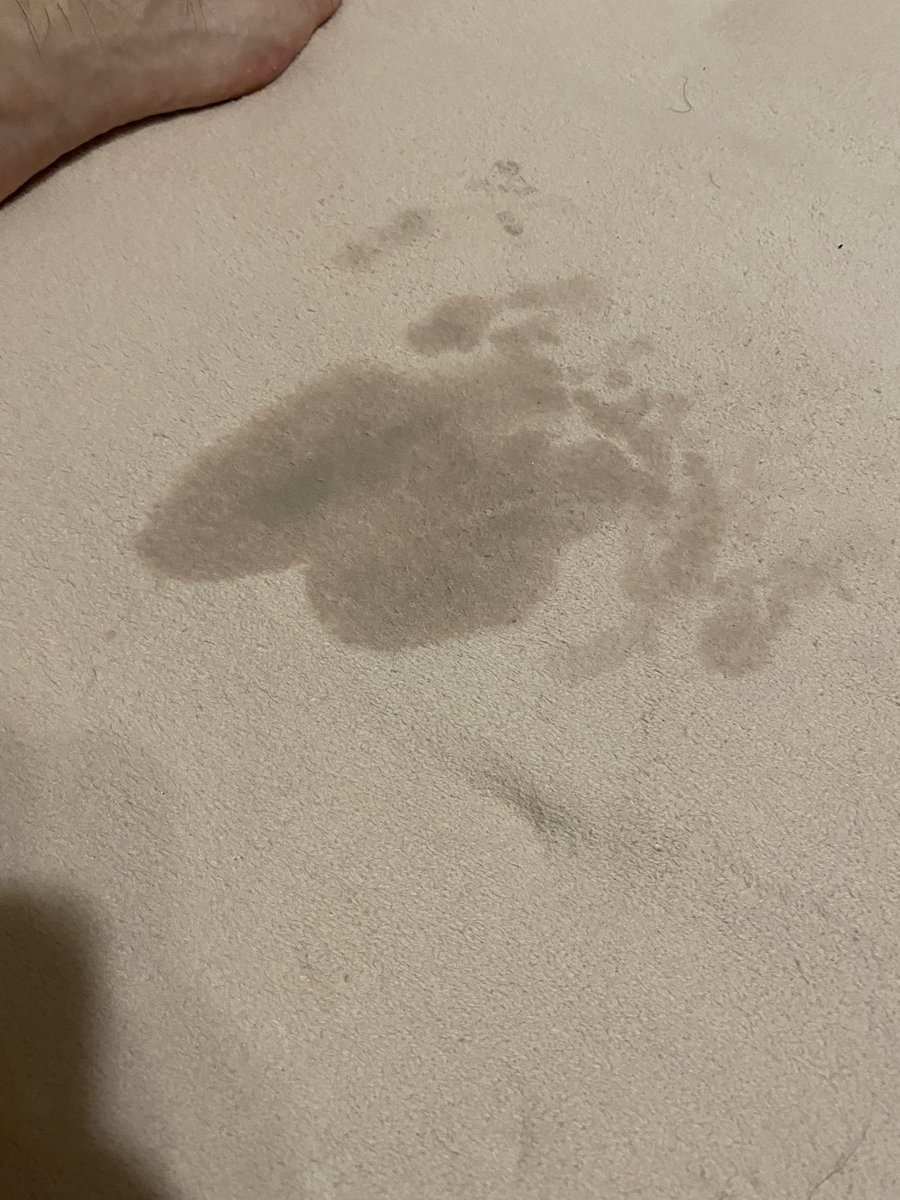 还是没忍住吃了回头草…