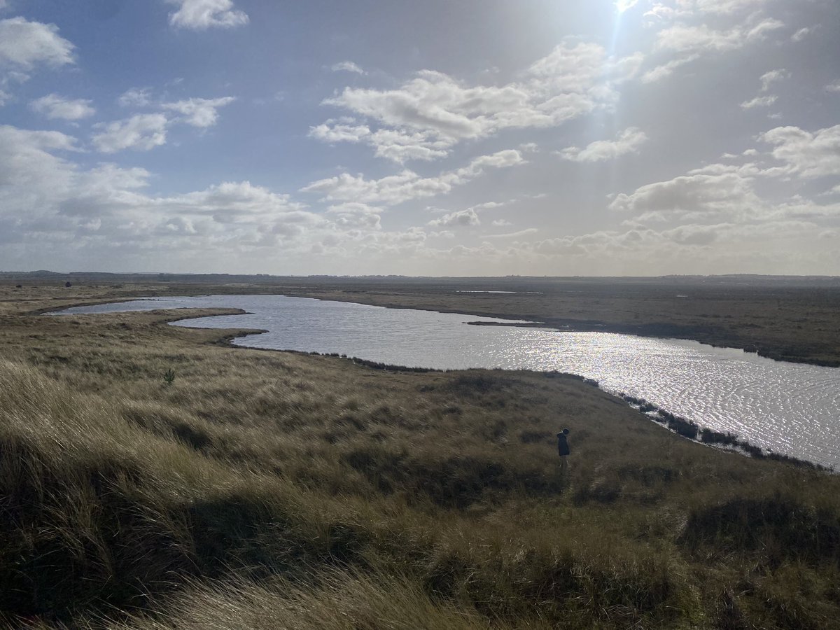 Out in the “fresh air & freedom” at the #PortofWells this afternoon, “east hills” between the harbour & the sea. #WellsNexttheSea #NorthNorfolkCoast the large body of water/wetland is called “Long-water” where many overwintering geese fly in to roost overnight.