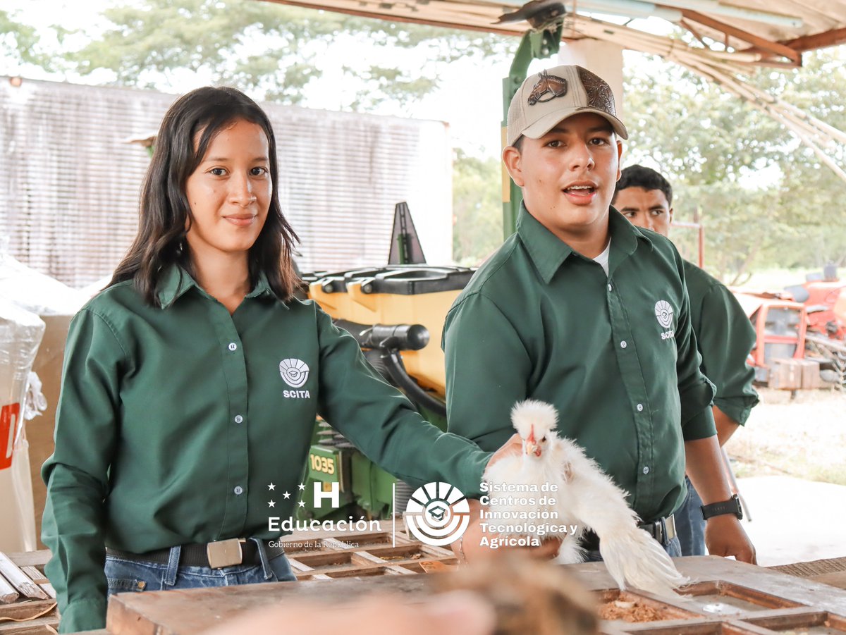 scitahonduras's tweet photo. ¡Feliz lunes! 🌱 

Nuestros estudiantes en acción, demostrando su amor por la agricultura en los diversos módulos de nuestro campus. 💚👩‍🌾👨‍🌾

#Agricultura #SCITA #EducaciónAgrícola https://t.co/t3l0CY4VP3