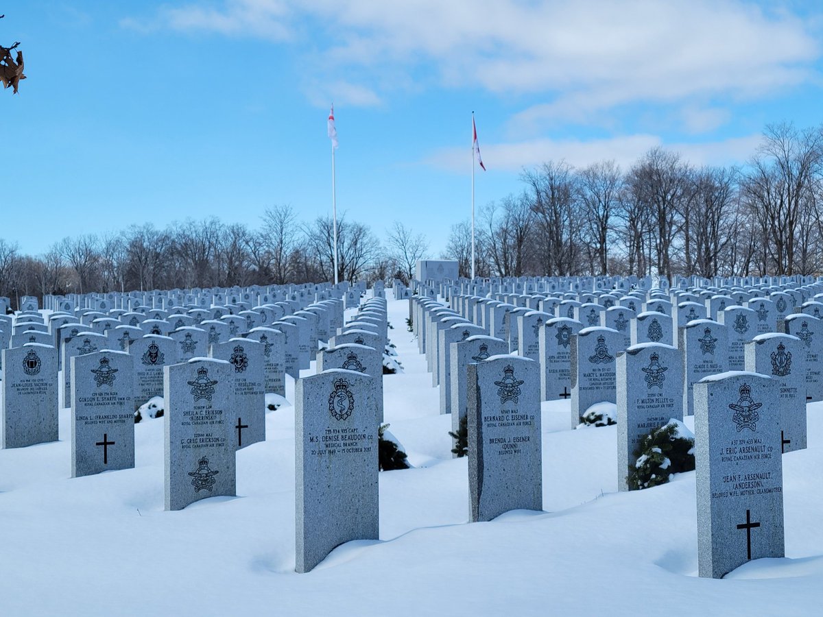 scott_free91's tweet photo. lest we forget...

the price we pay

our brothers and sisters

lest we forget

our promise ever again

🫡 🇨🇦 🫡 https://t.co/sd5Psw708Y