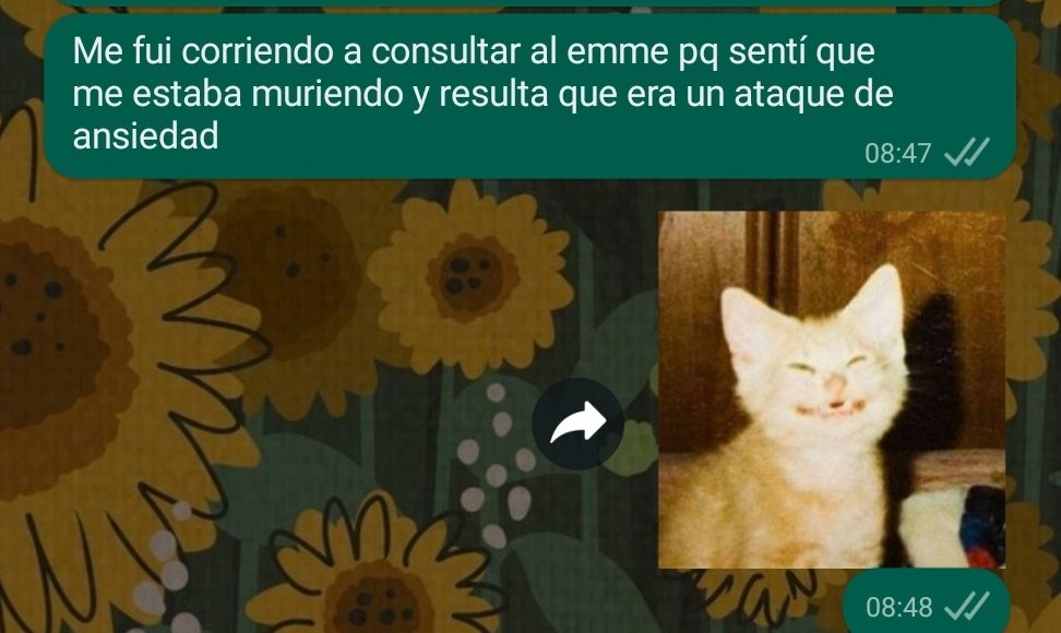 fabfields_'s tweet photo. Una montaña rusa de emociones :v https://t.co/i4dfAMw2sh