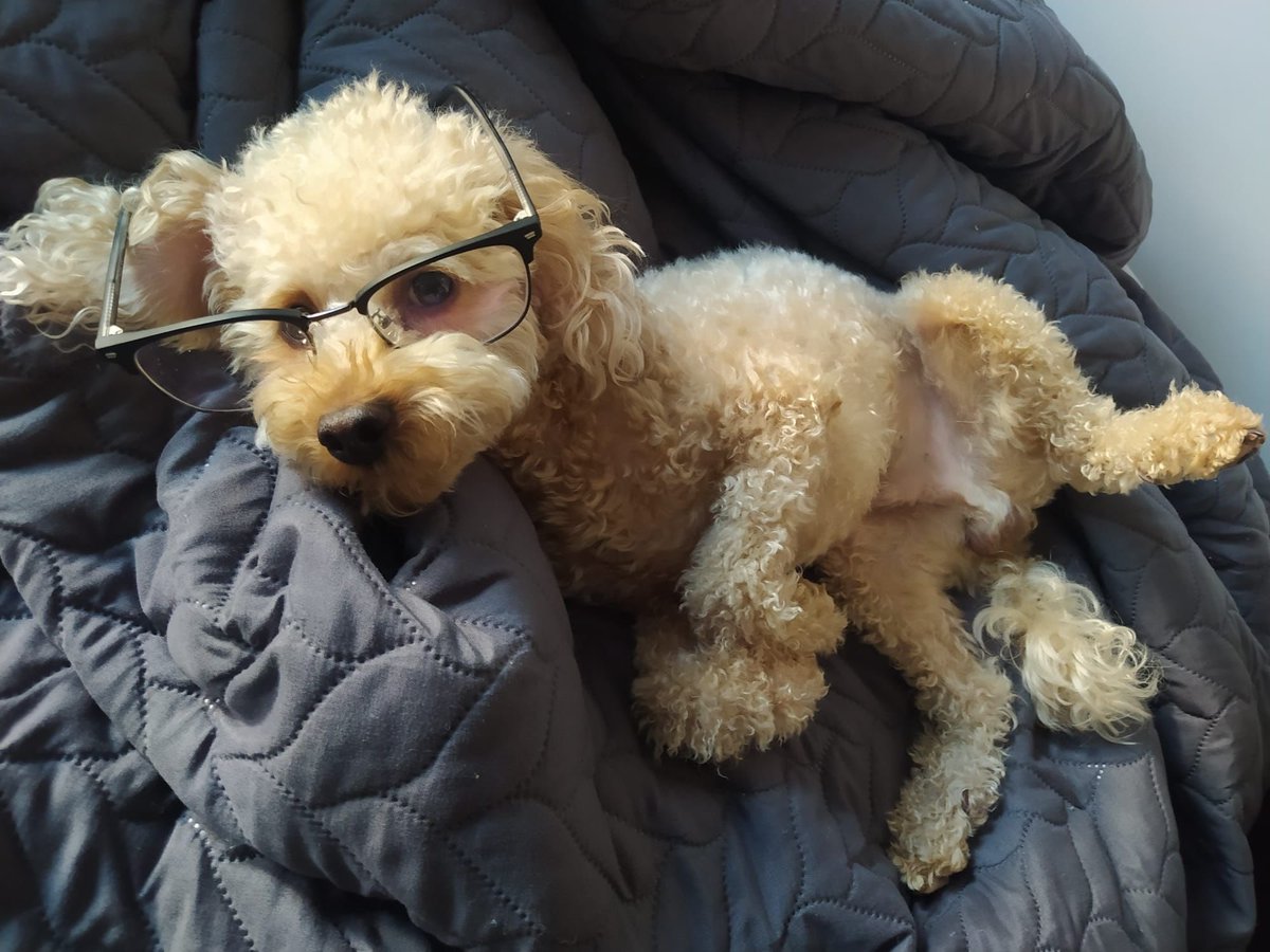 Gözlüğü kendisi taktı