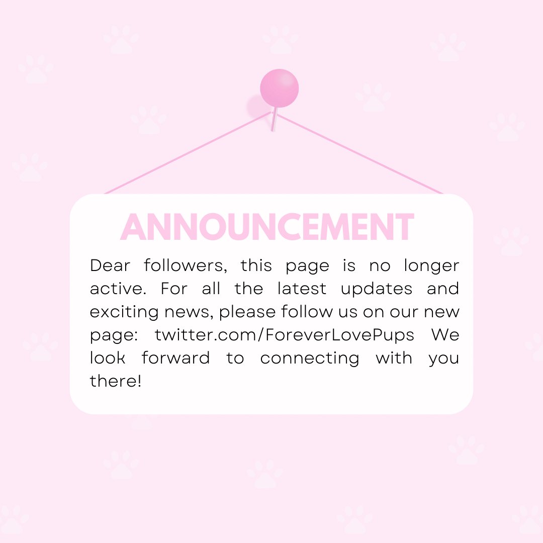 Please follow us at <a href="/ForeverLovePups/">Forever Love Puppies</a>  for the latest news and content