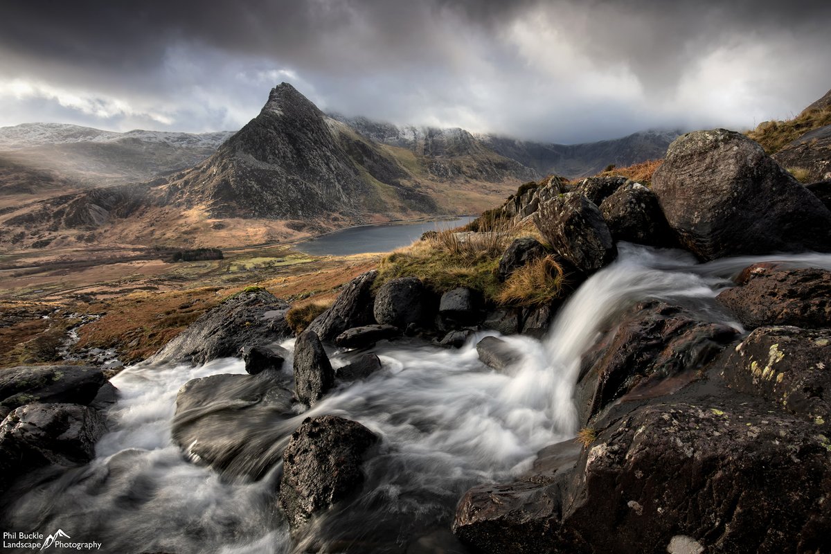 Phil Buckle tweet media