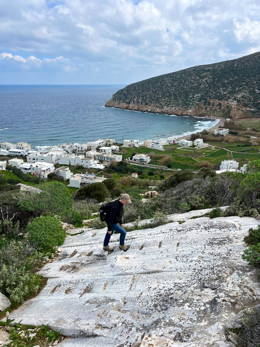 Rebecca Levitan tweet media