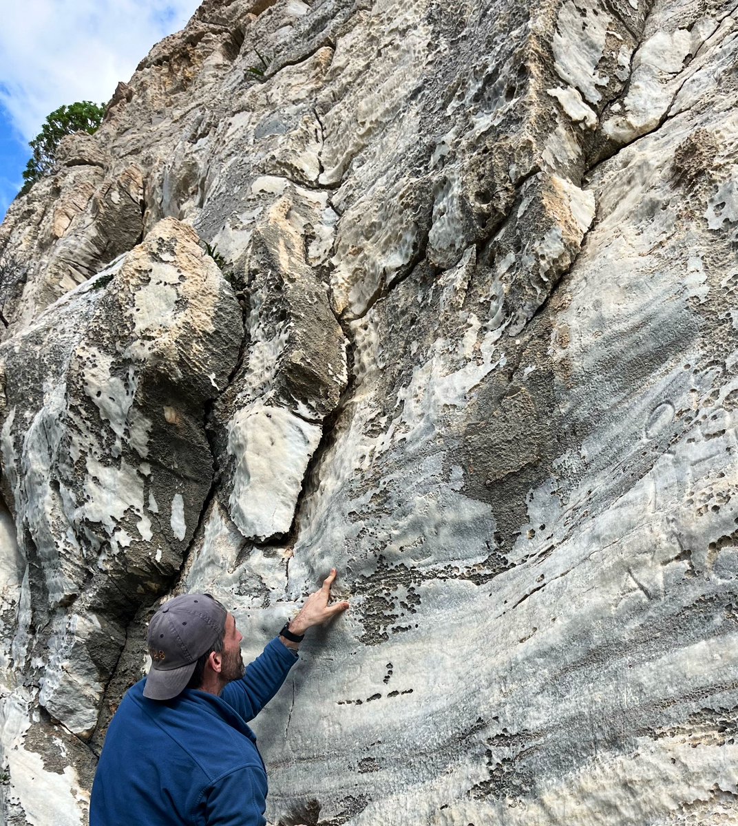 Rebecca Levitan tweet media