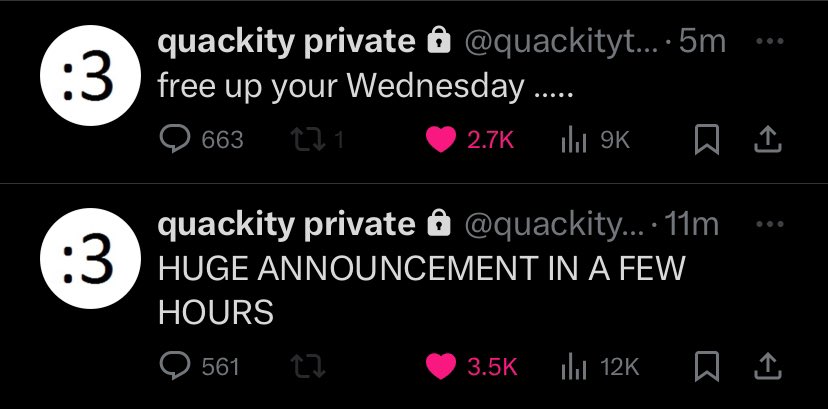 mcytspriv's tweet photo. Priv Quackity tweets! 💜 https://t.co/GnFsZGrW37