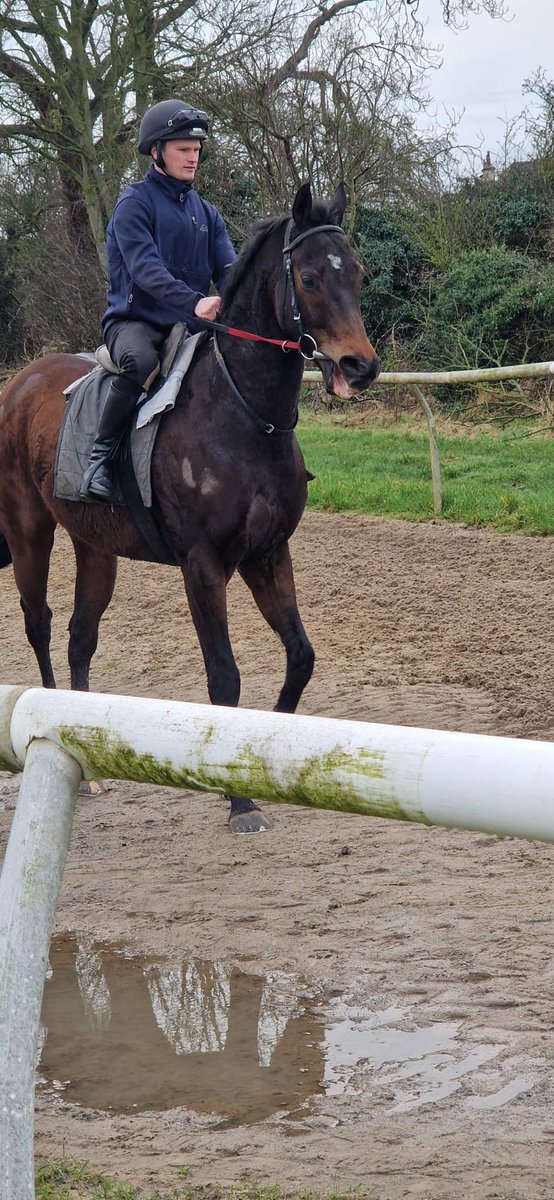 Santry Racing syndicate horses Whogoesthere & Arecibo on the gallops in Malton on Sunday morning.