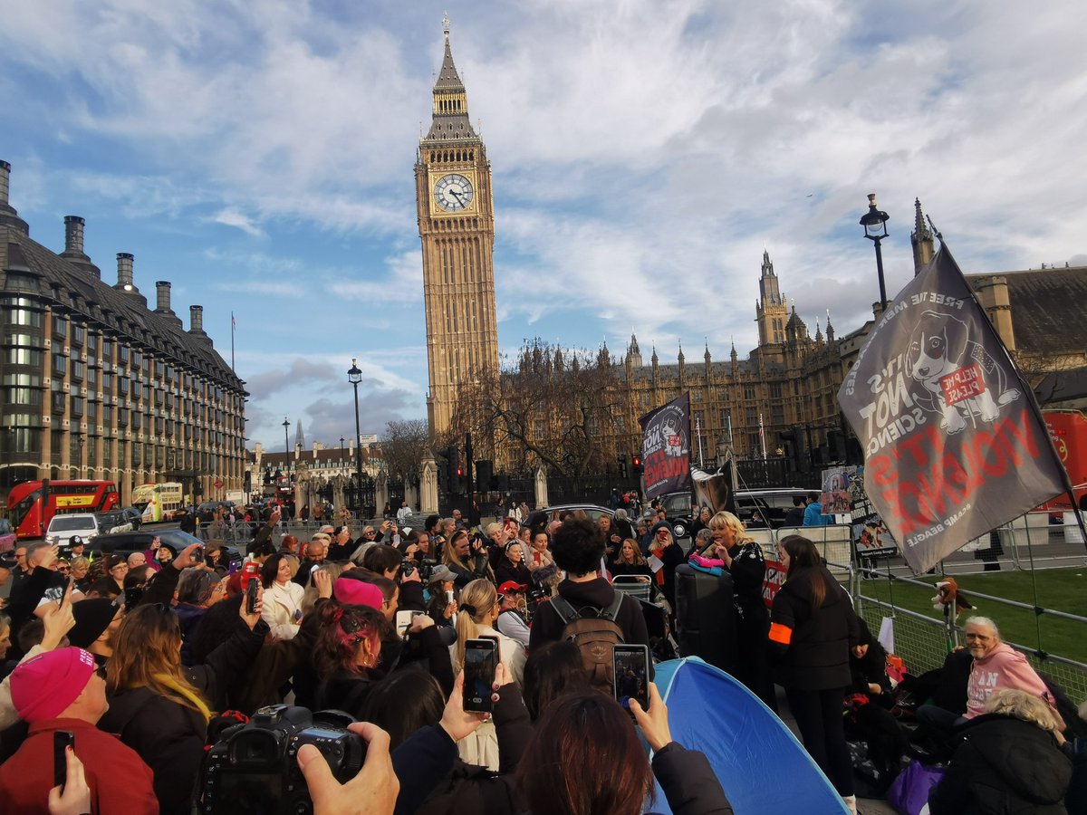 Great turnout outside Parliament this afternoon speaking out against animal testing prior to the petition debate.

Shut down MBR Acres! 

#EndAnimalTesting #mbracres