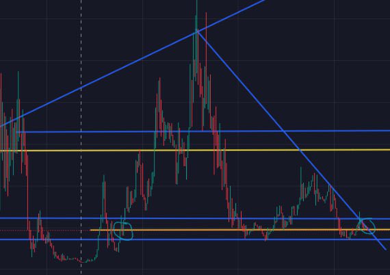 TheAPUApustaja's tweet photo. Left green circle is last night. The right green circle is us now. Look what happened last night. Dont Jeet.

$APU #APU #Solana https://t.co/wlGZa6V9xH