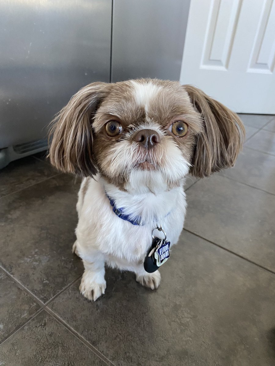 Rob Williams tweet media