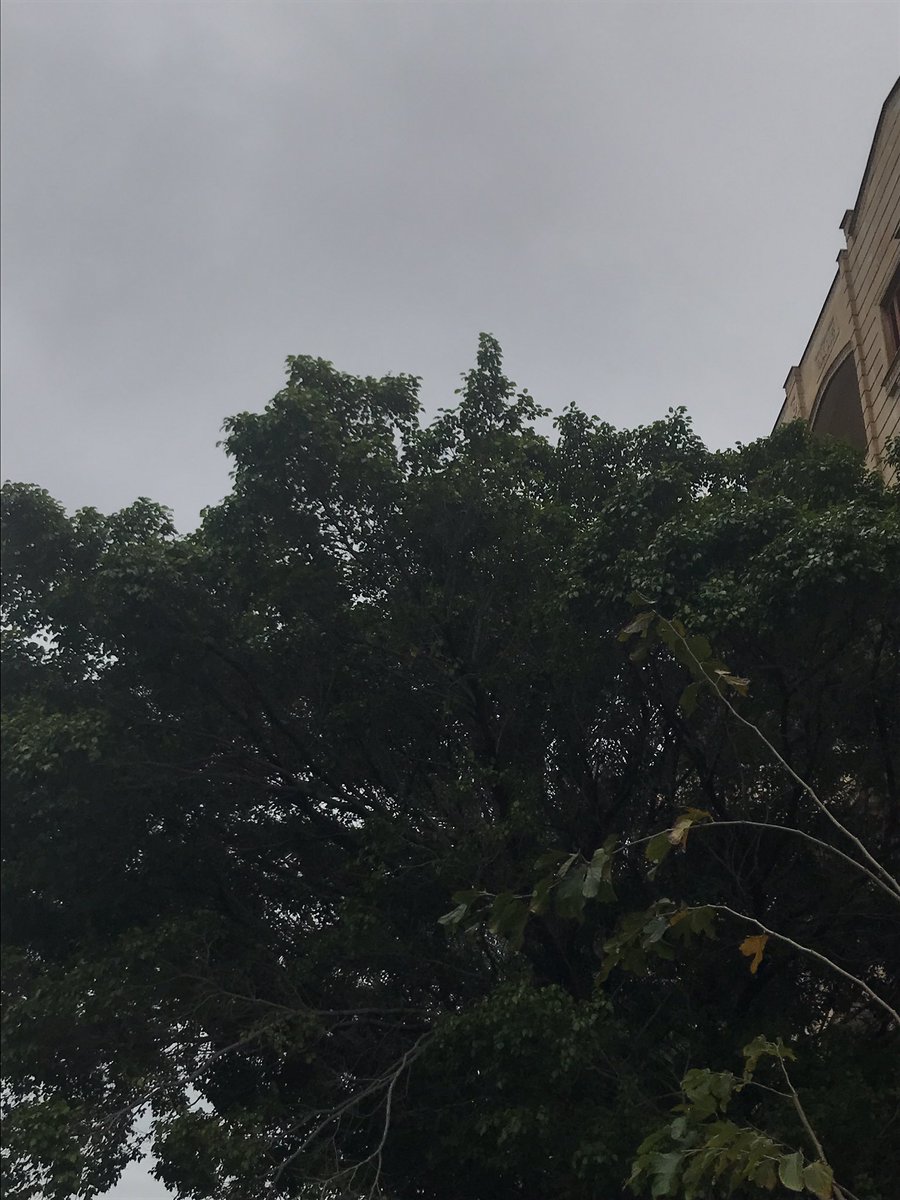 EsLAm_ing's tweet photo. #NewProfilePic 🌥 https://t.co/VEXOnaq3U3