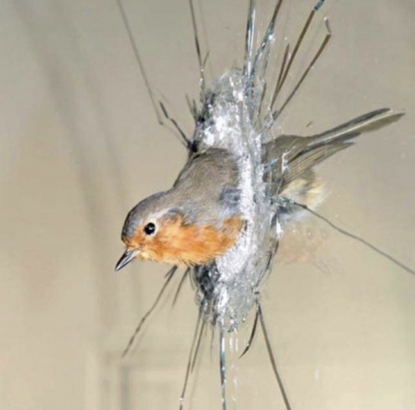 ؛

عندما يكون التقدم مؤلم والرجوع مؤلم والوقوف بمكانك أشد ألما   …ماذا تفعل؟؟؟

  بالنسبة لي أنا أكيد بتقدم ومع مرور الأيام سوف يزول الألم ويصبح في طي النسيان 
أما الرجوع والوقوف هو استسلام وإستمرار للألم